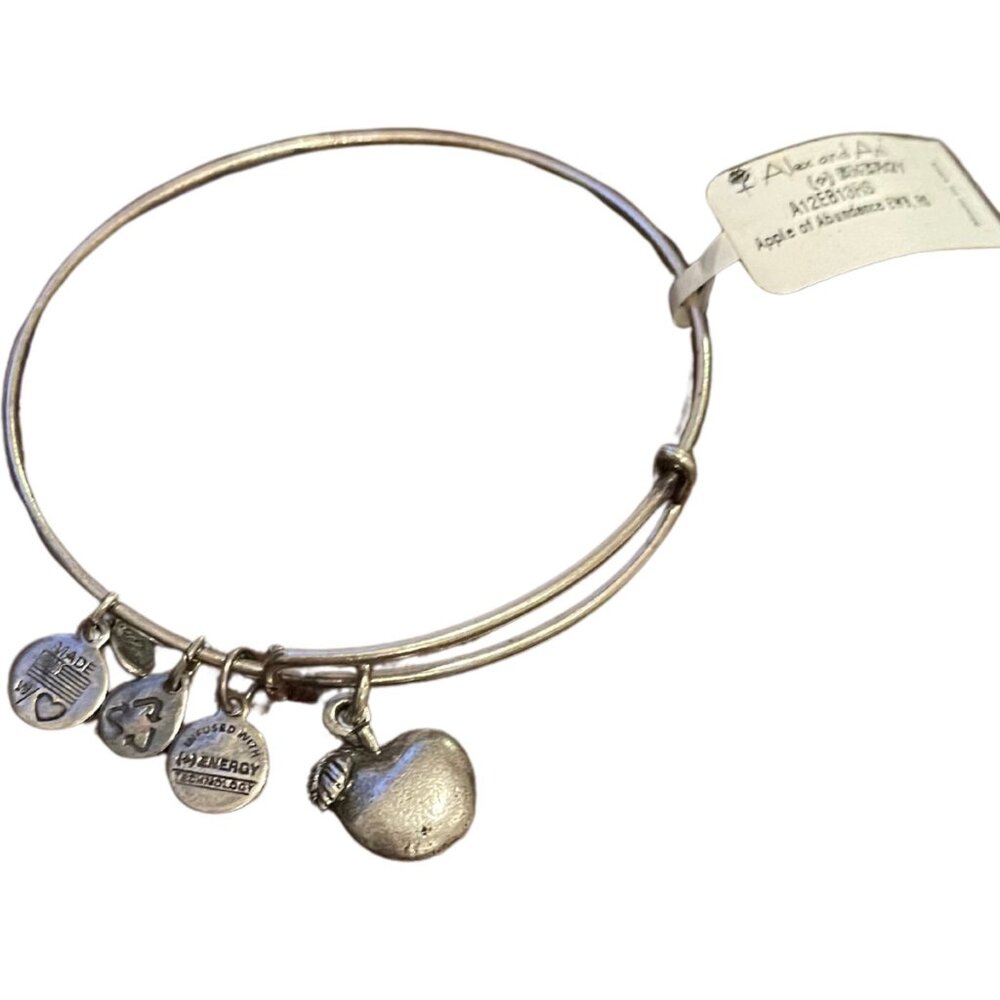 Alex and Ani Apple Charm Bracelet – Silver Tone, New with Tags